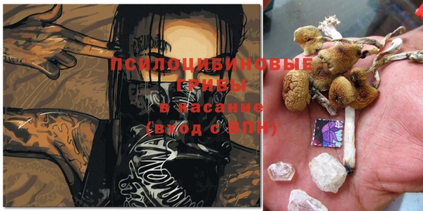 прущий лед Арсеньев