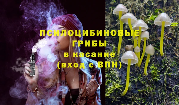 apvp Балахна