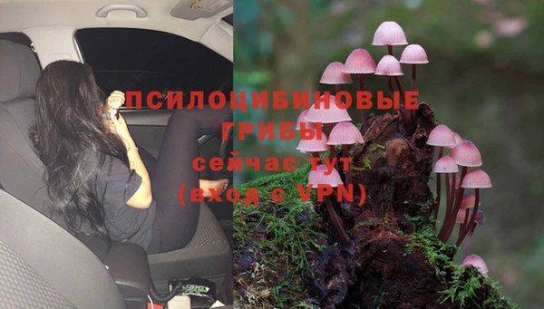 мяу мяу мука Балабаново
