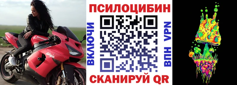 мориарти какой сайт  Медынь  Псилоцибиновые грибы GOLDEN TEACHER 